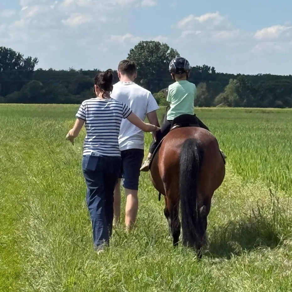 Pferdegestützte Einheit auf der Wiese