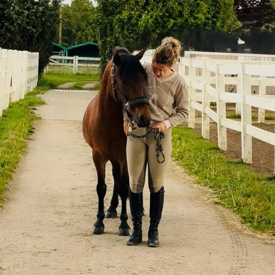 Pferd im Privatstall